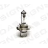 ЛАМПОЧКА H4 VOLKSWAGEN 02.92 - 09.98